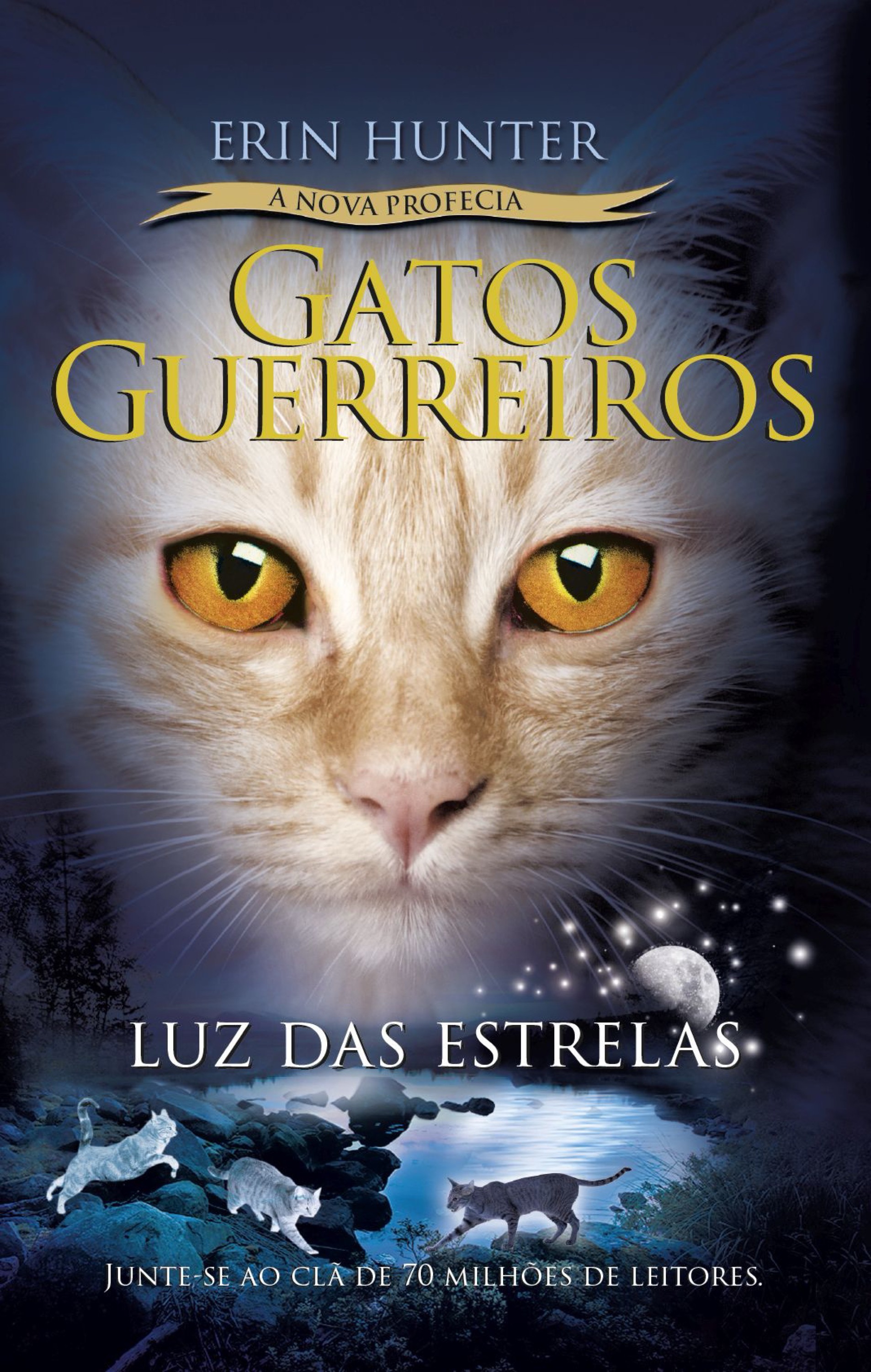 Gatos Guerreiros (A nova profecia) - Luz das estrelas