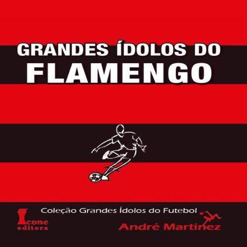 Grandes Ídolos do Flamengo