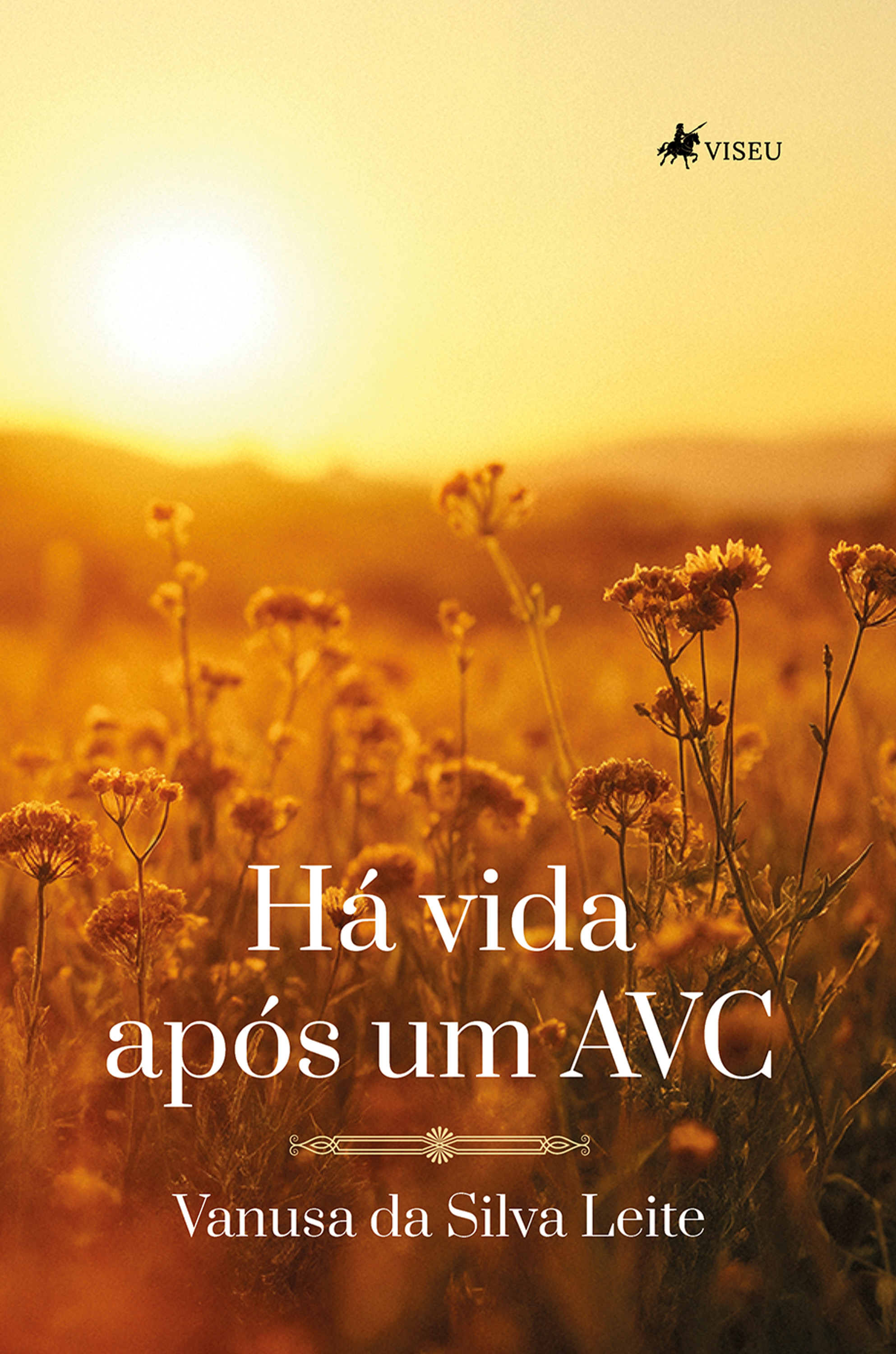 Há vida após um AVC