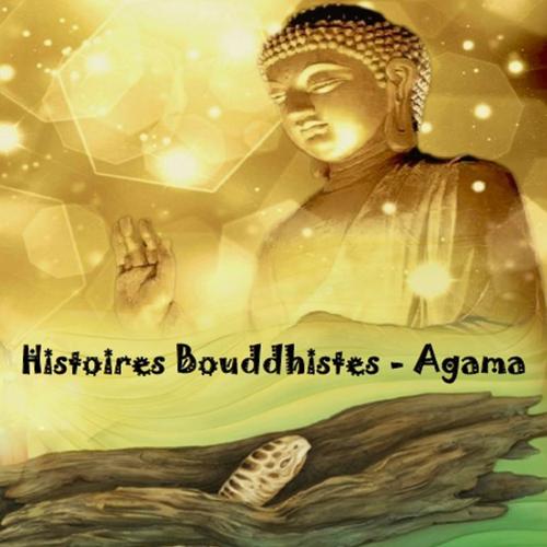 Histoires Bouddhistes - Agama