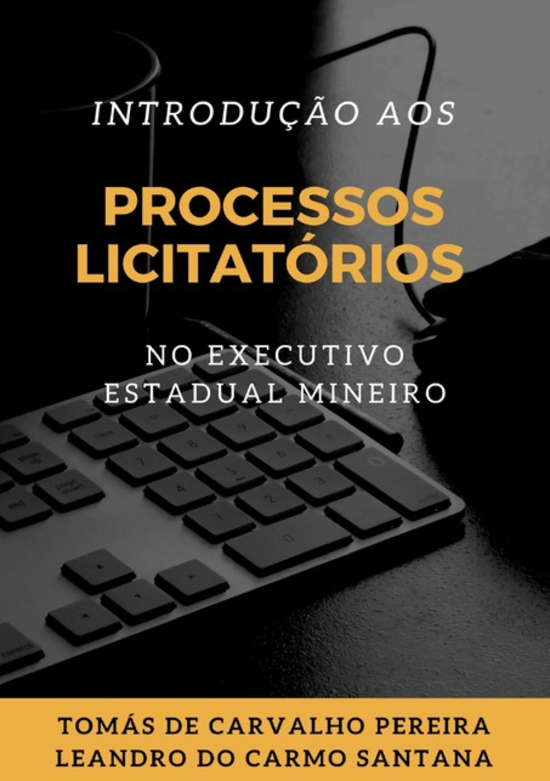 Introdução Aos Processos Licitatórios No Executivo Estadual Mineiro