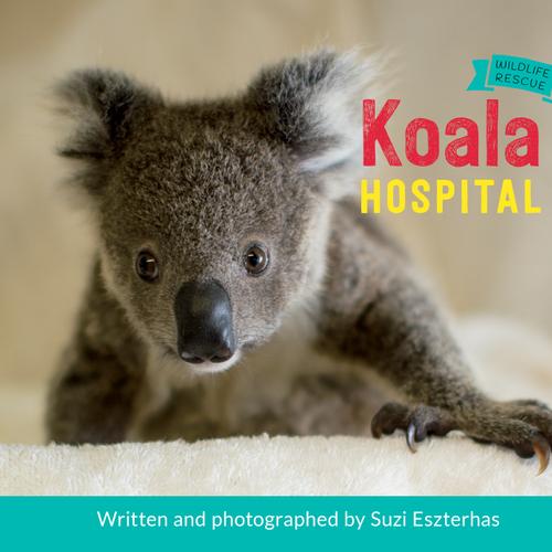 Koala Hospital