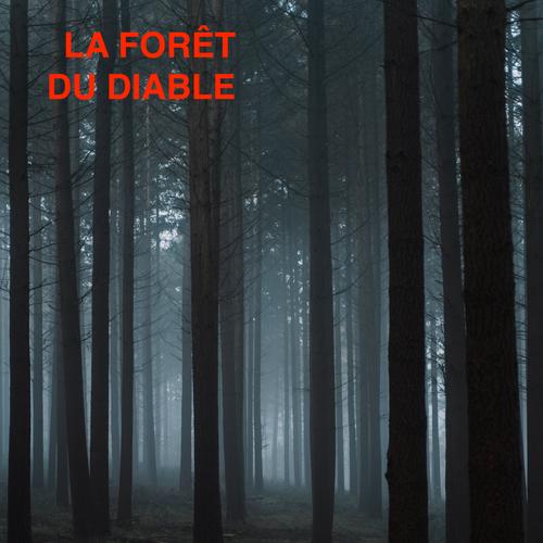 LA FORET DU DIABLE