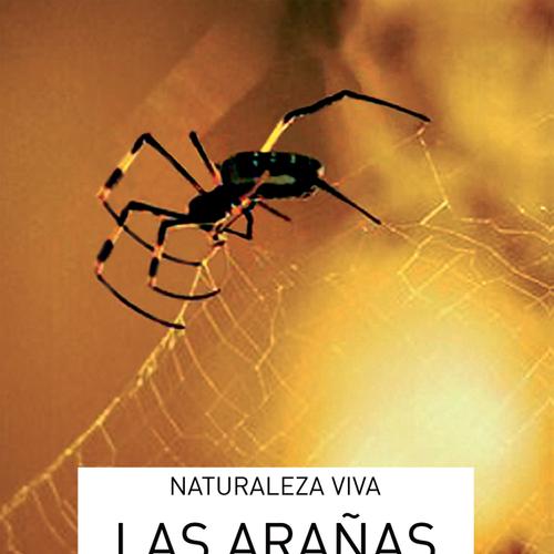 Las arañas