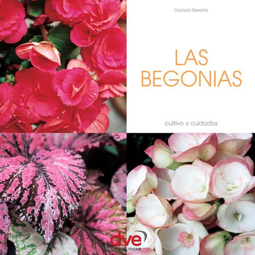 Las begonias