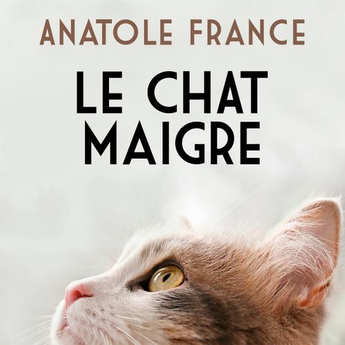 Le Chat maigre