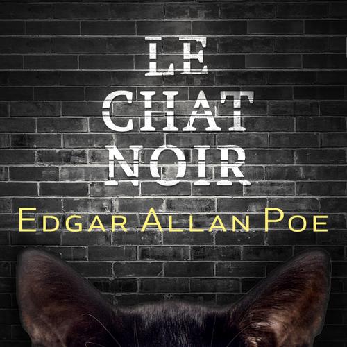 Le Chat noir