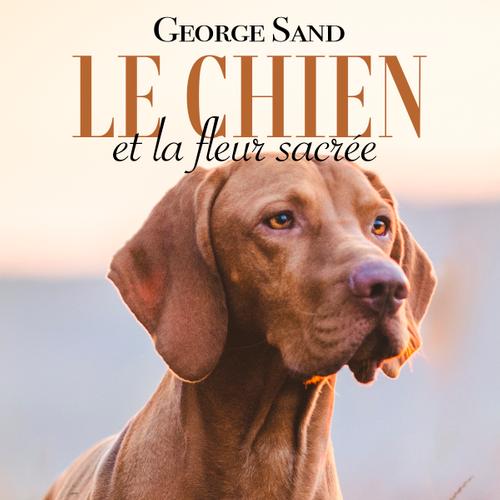 Le Chien et la fleur sacrée