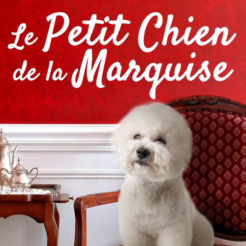 Le Petit Chien de la Marquise