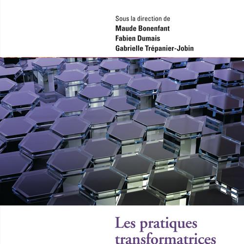 Les pratiques transformatrices des espaces socionumériques