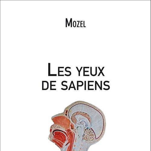 Les yeux de sapiens