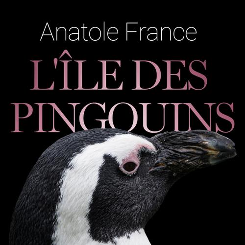 L'Île des Pingouins