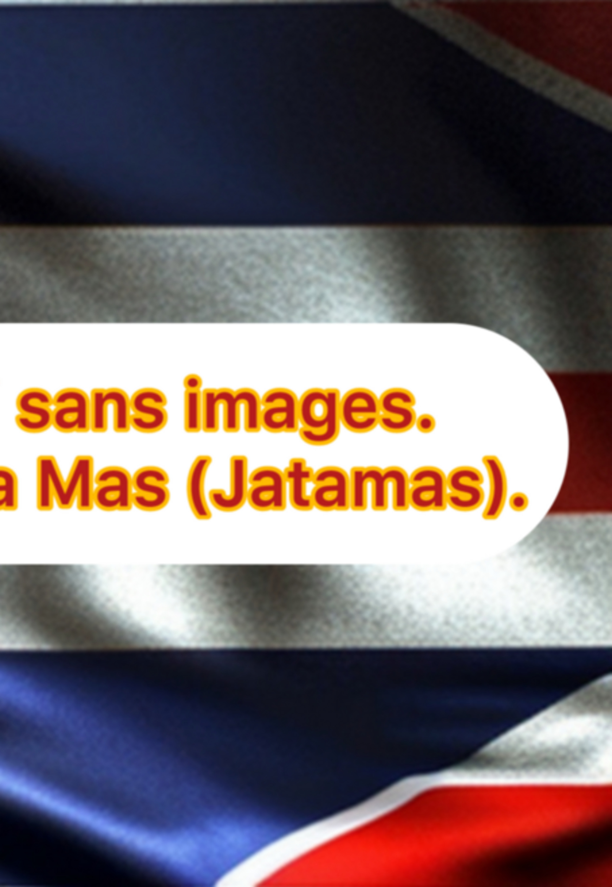 L'illustre Balai Sans Images.