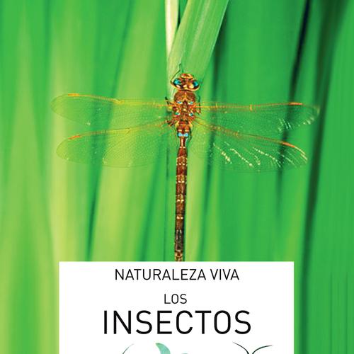 Los insectos