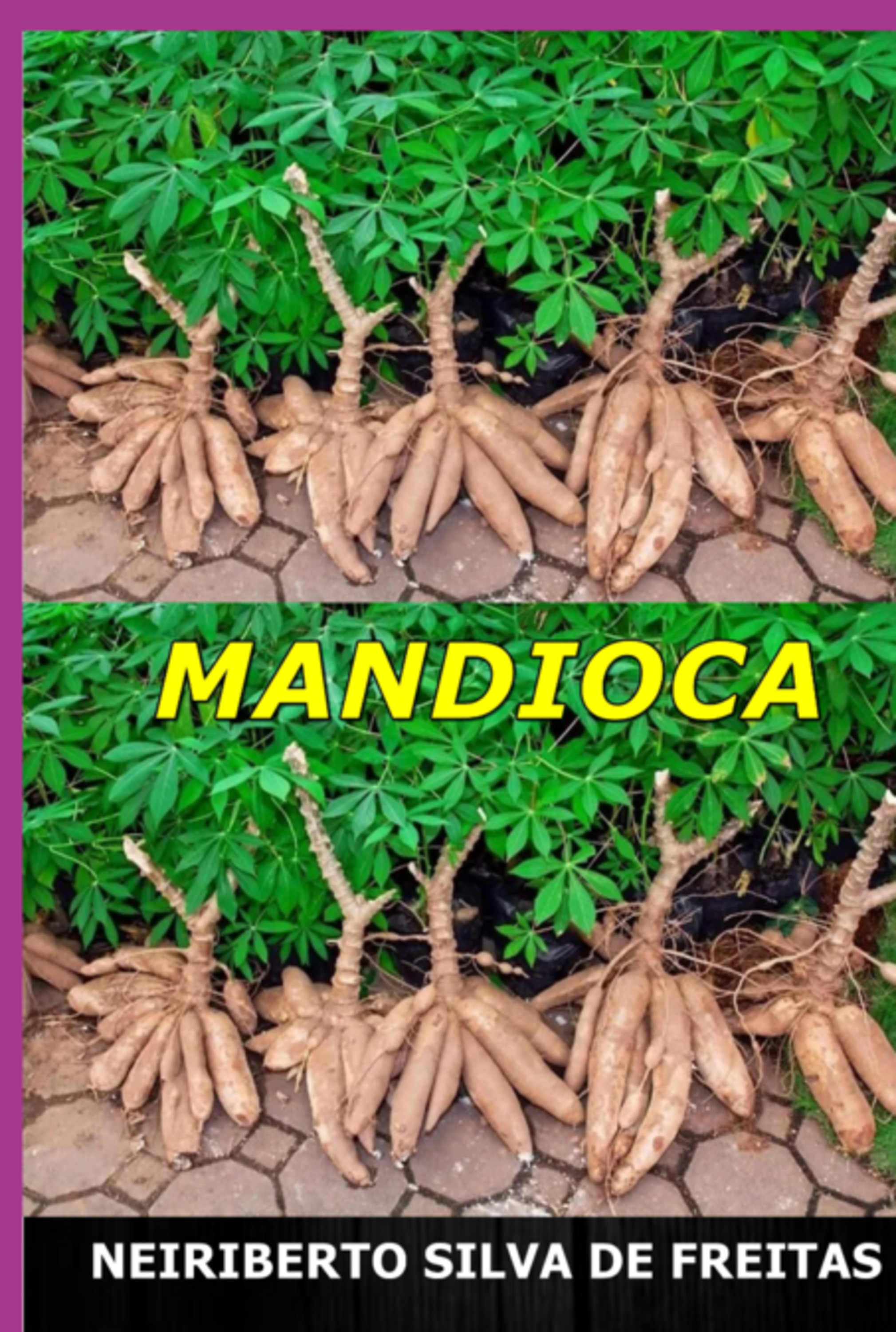 Mandioca