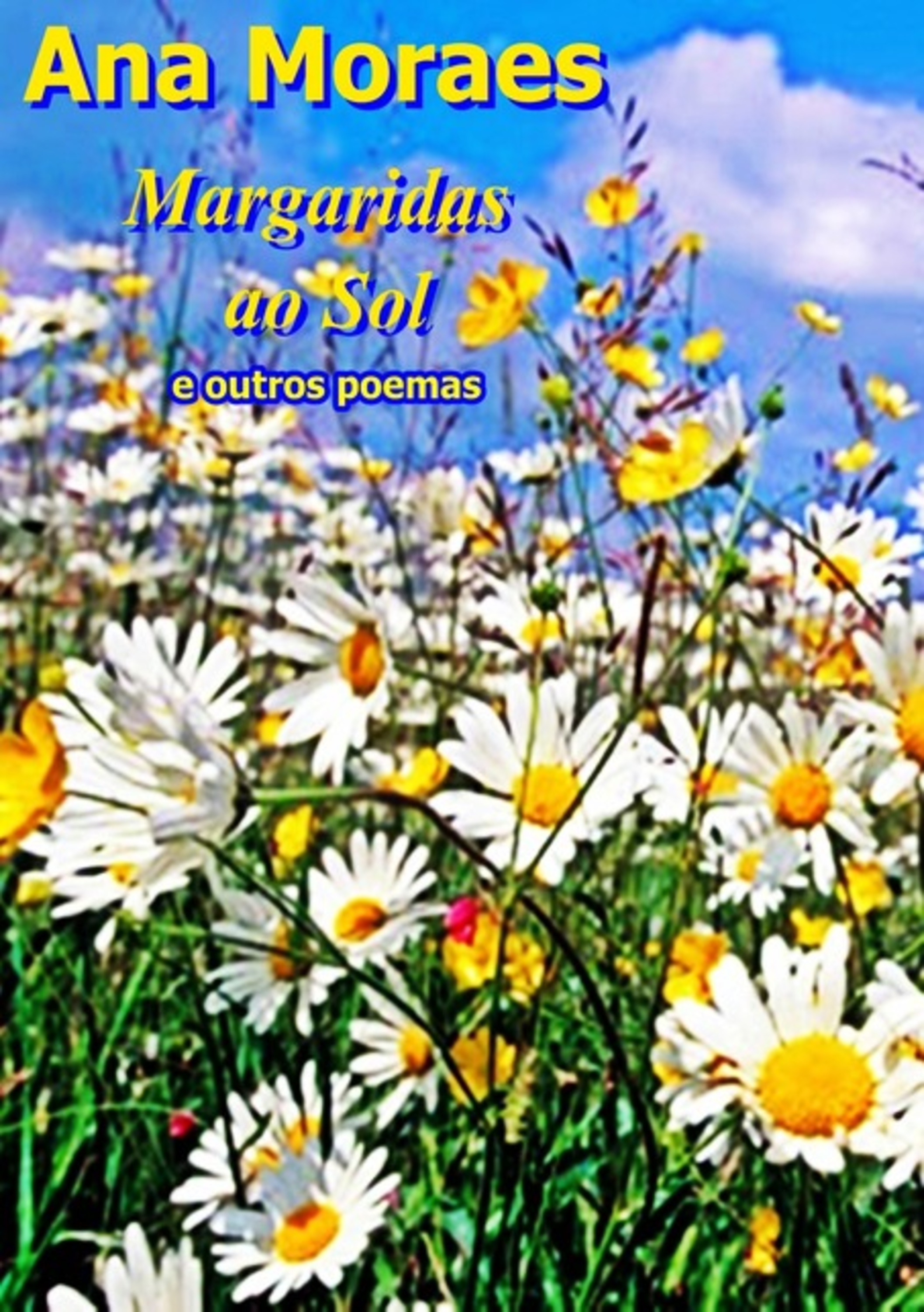 Margaridas Ao Sol