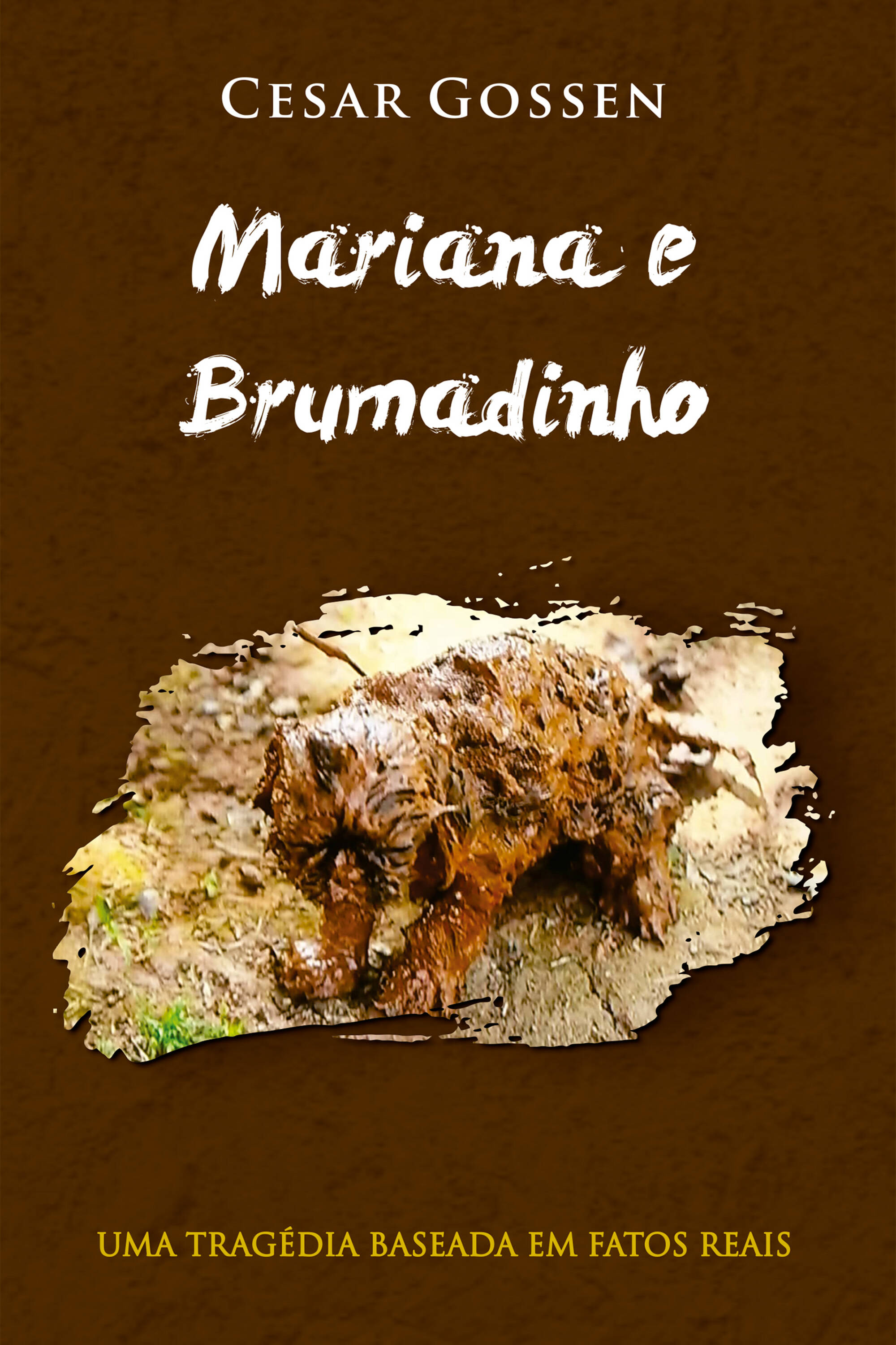 Mariana e Brumadinho