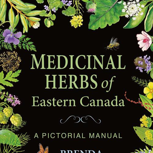 Medicinal Herbs of Eastern Canada