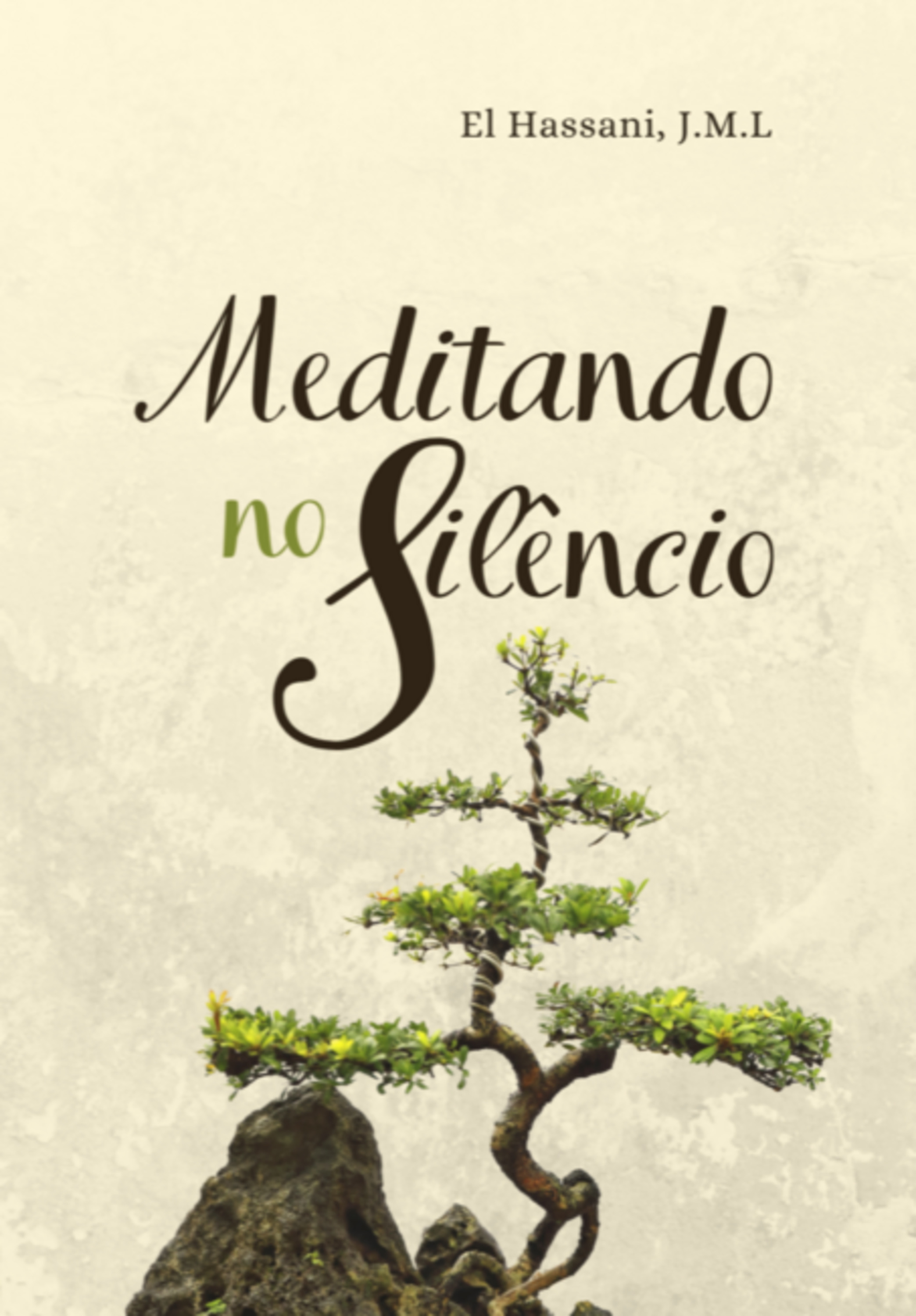 Meditando No Silêncio