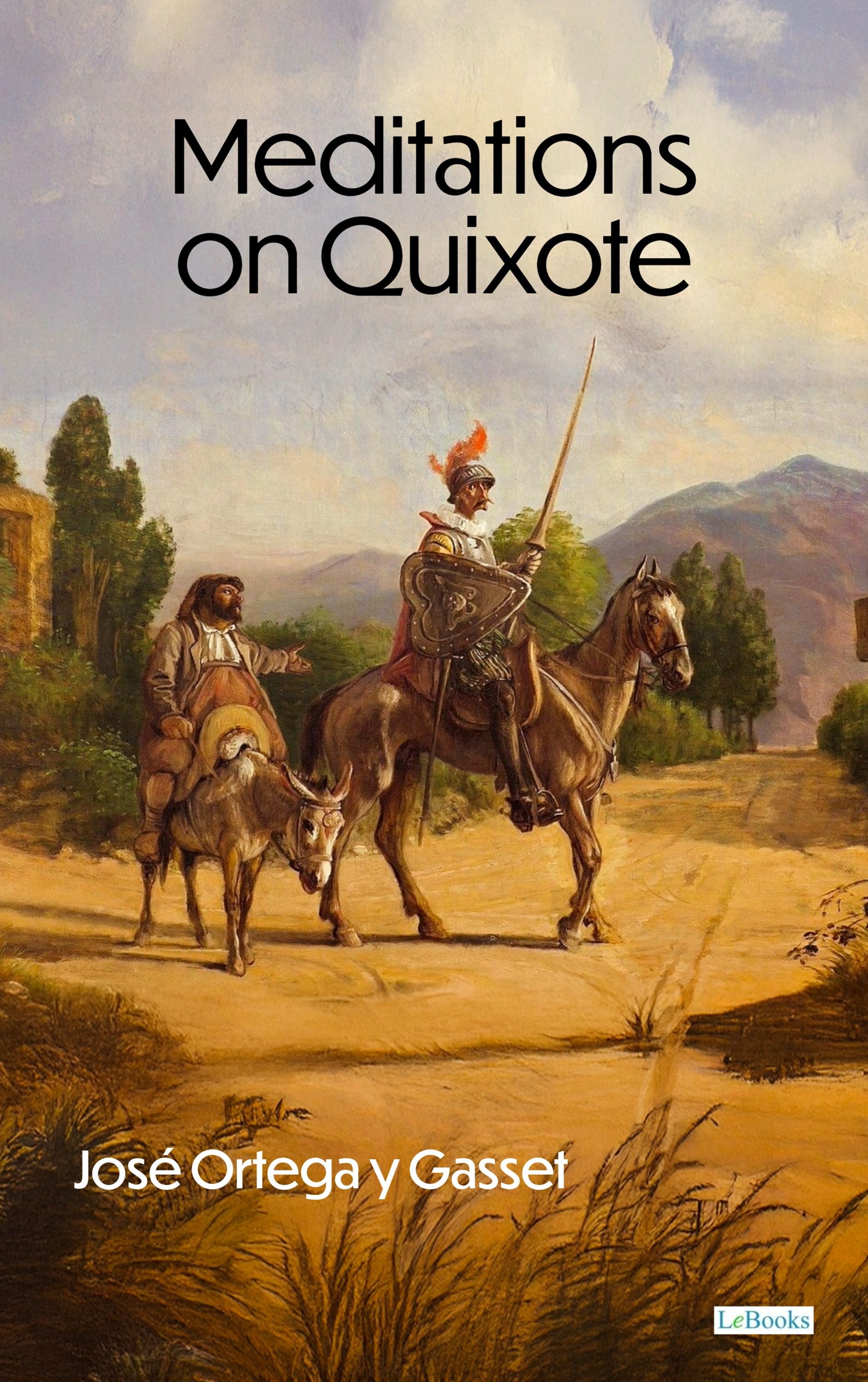 Meditations on Quixote