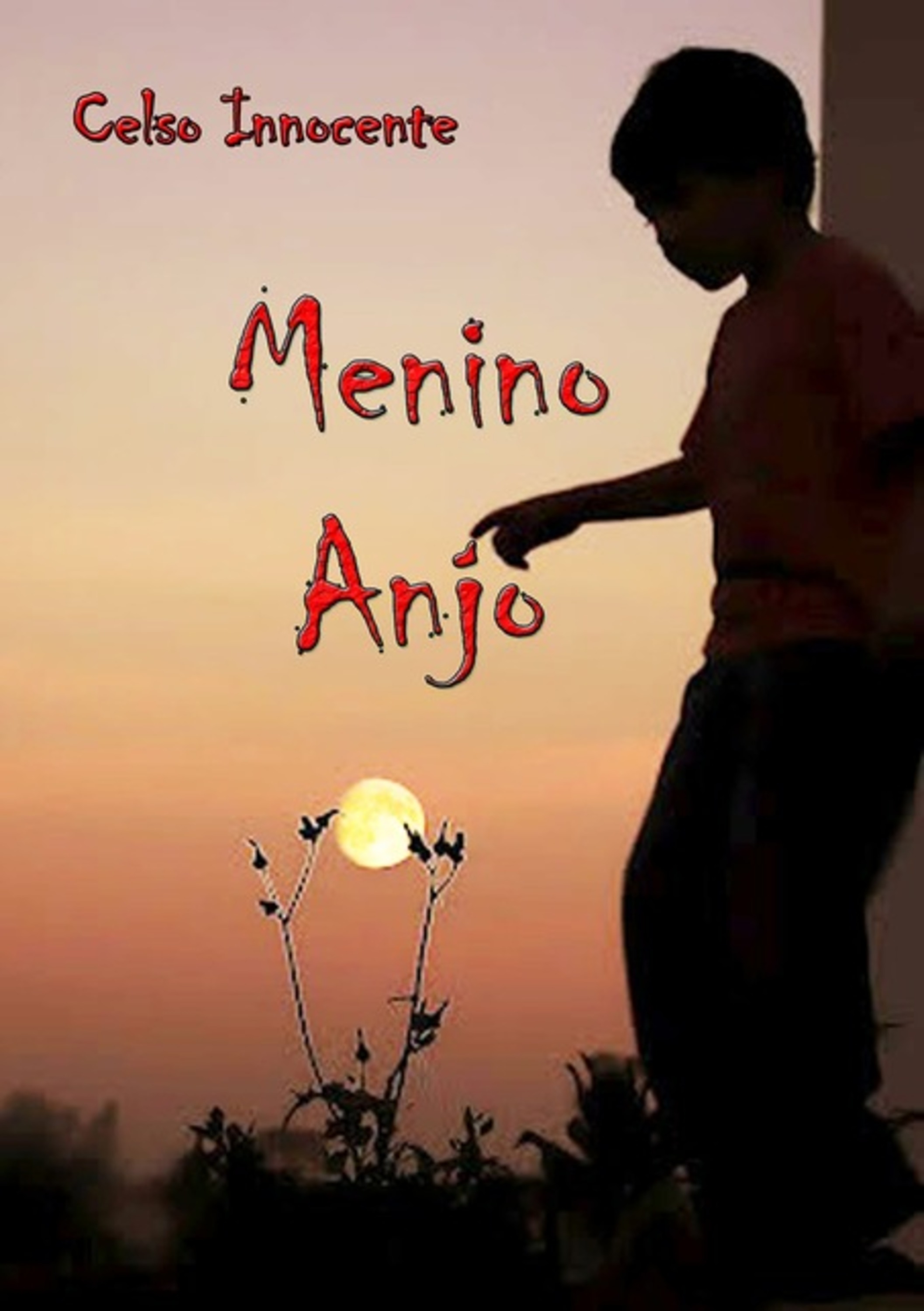 Menino Anjo