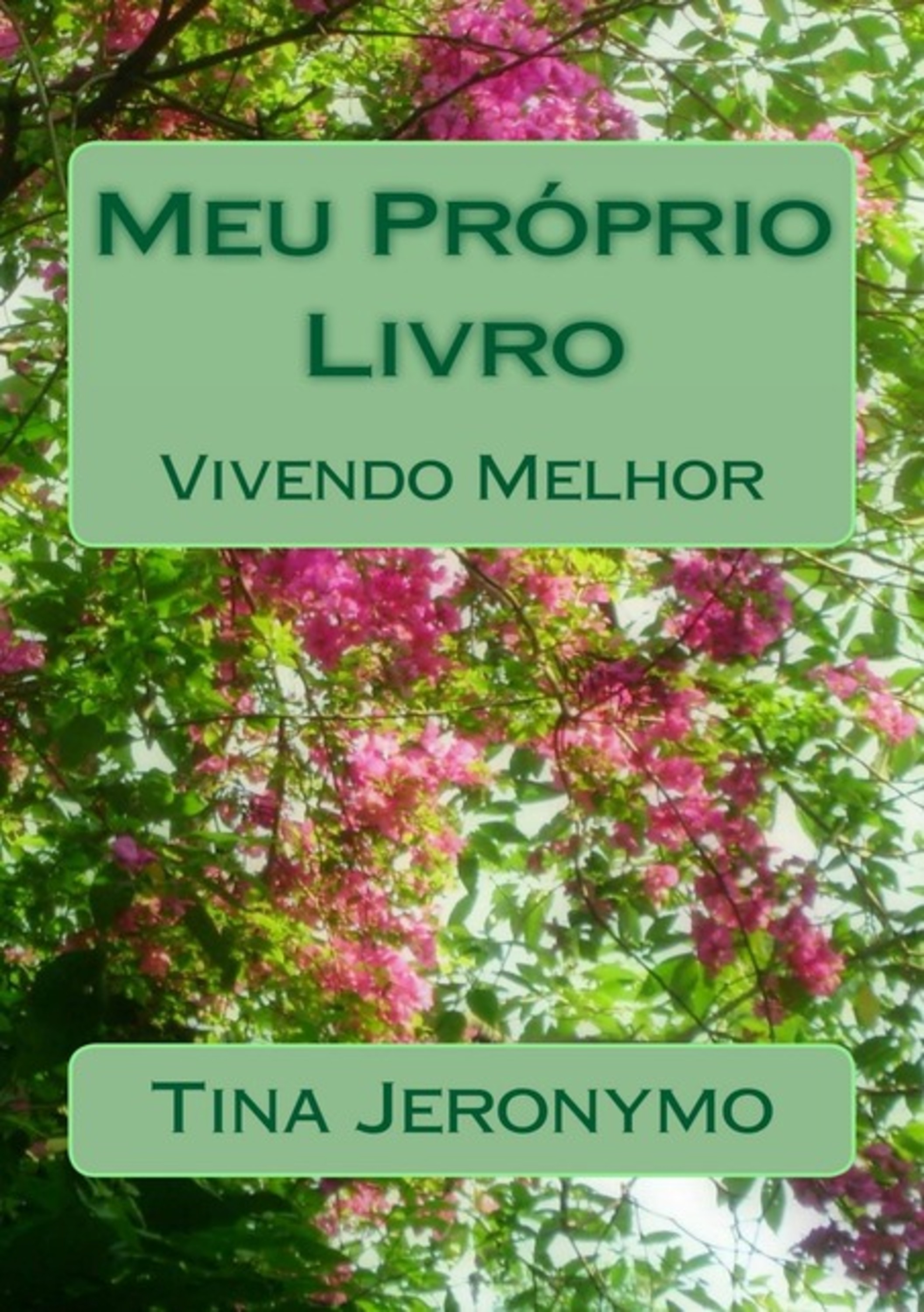 Meu Próprio Livro - E-book Ilustrado