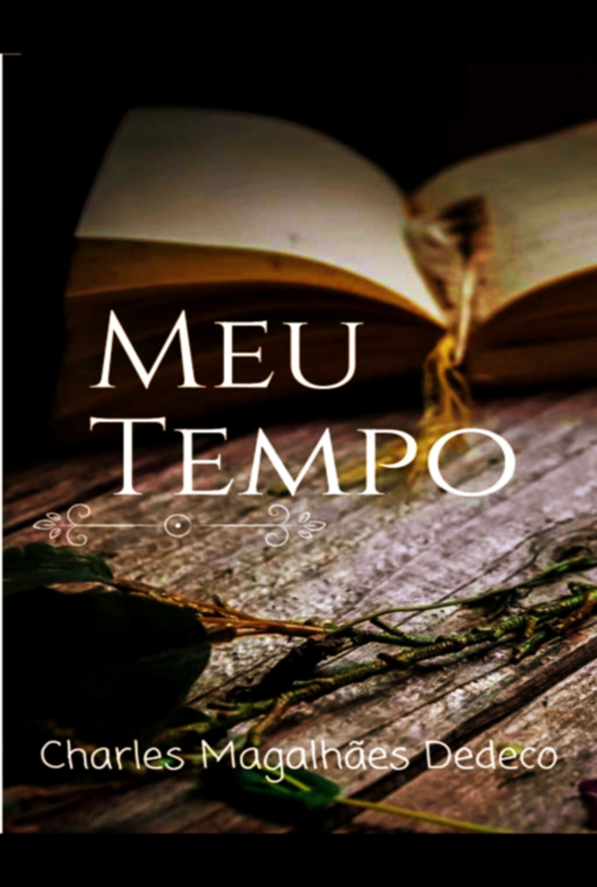 Meu Tempo