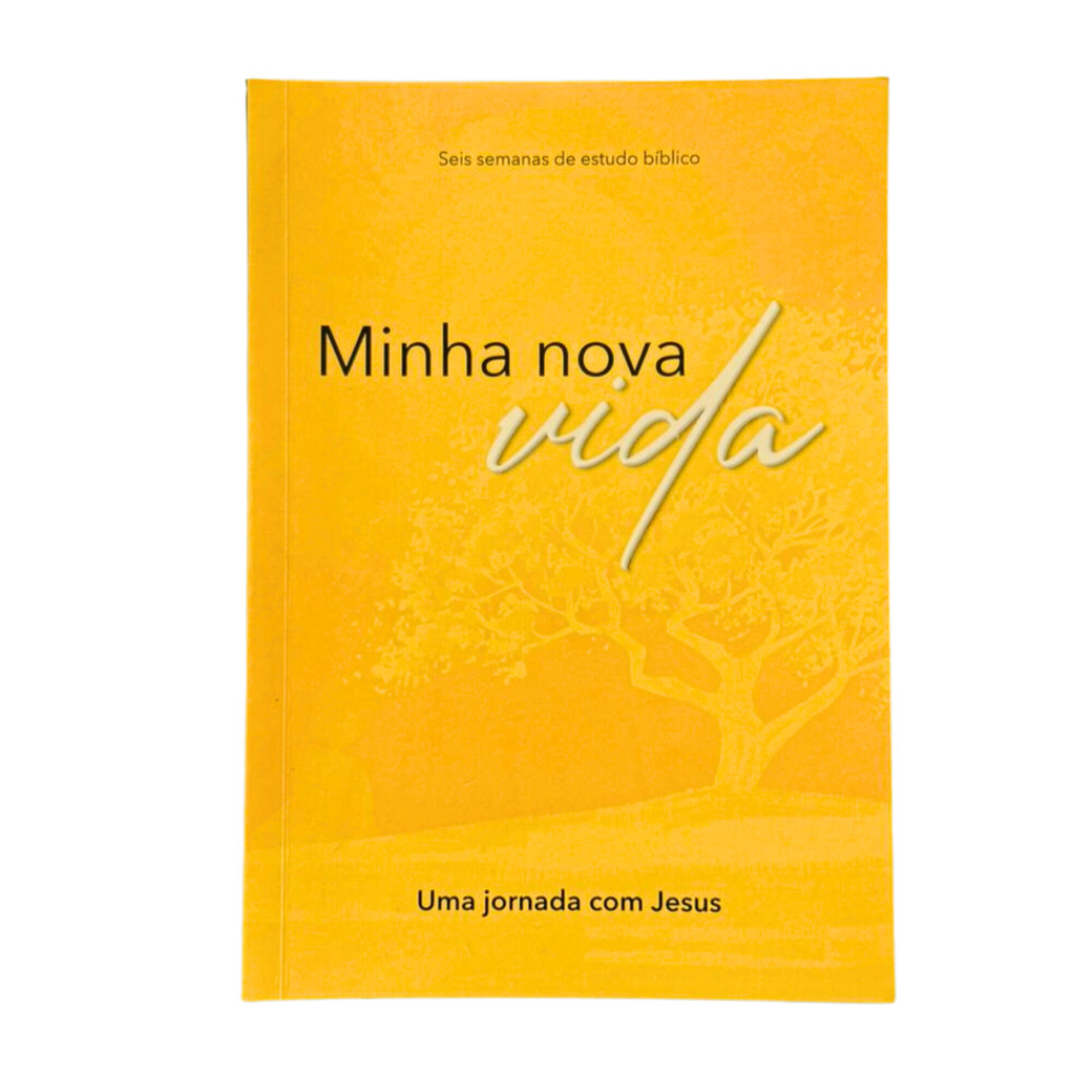Minha nova vida