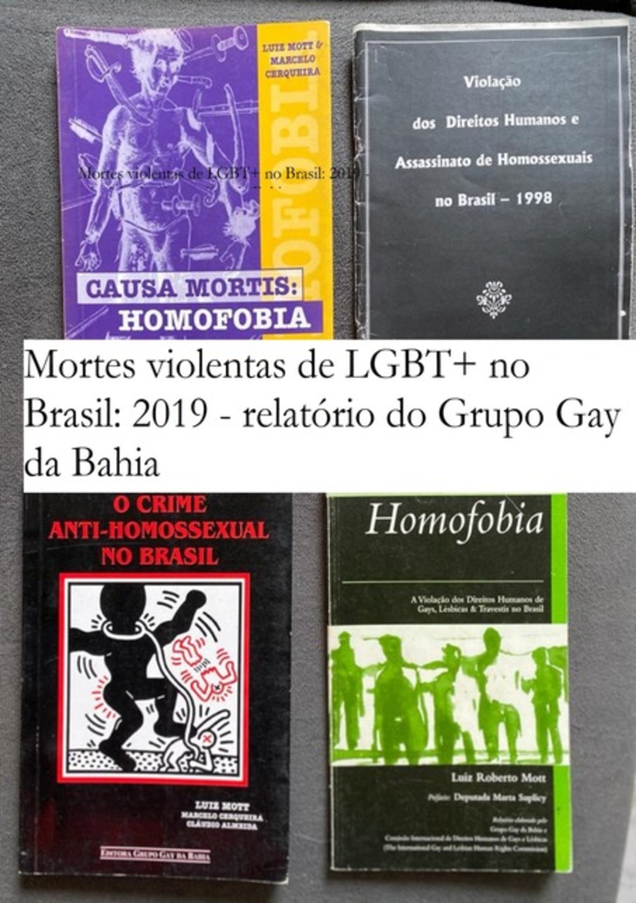 Mortes Violentas De Lgbt+ No Brasil: 2019