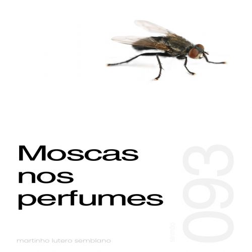 Moscas nos perfumes - Sermão 093