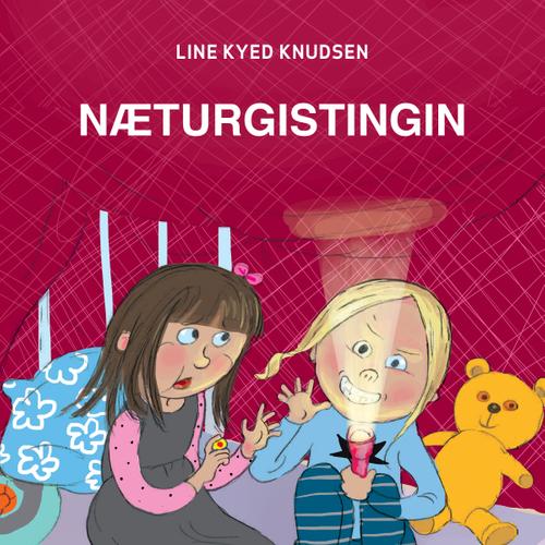 Næturgistingin