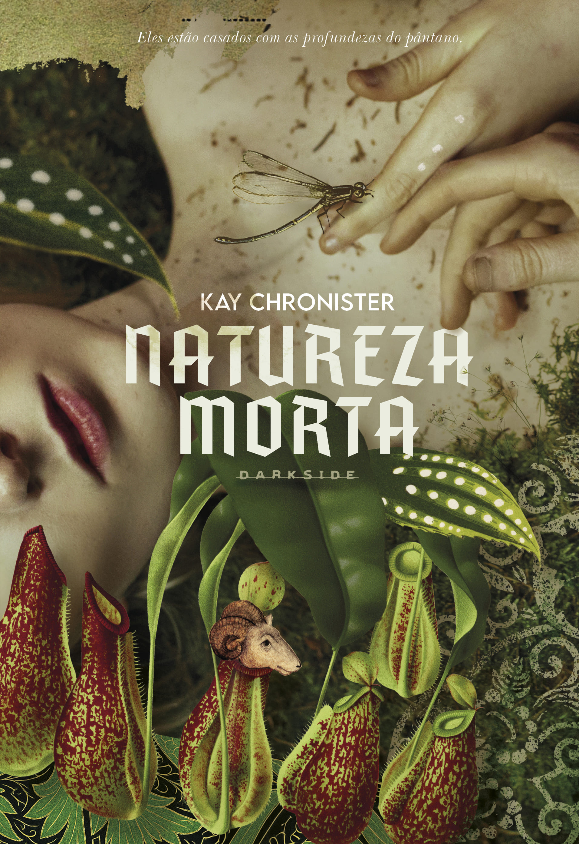 Natureza Morta