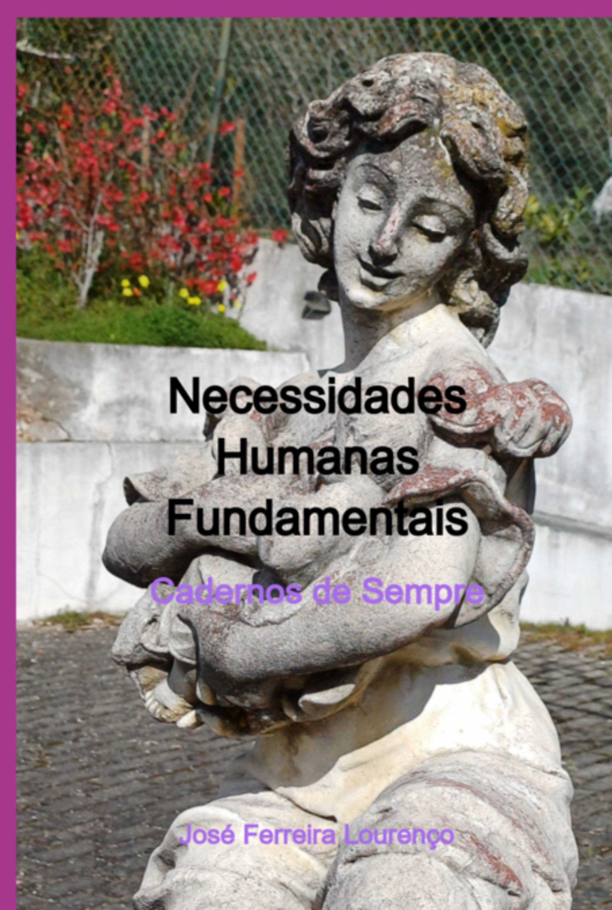 Necessidades Humanas Fundamentais