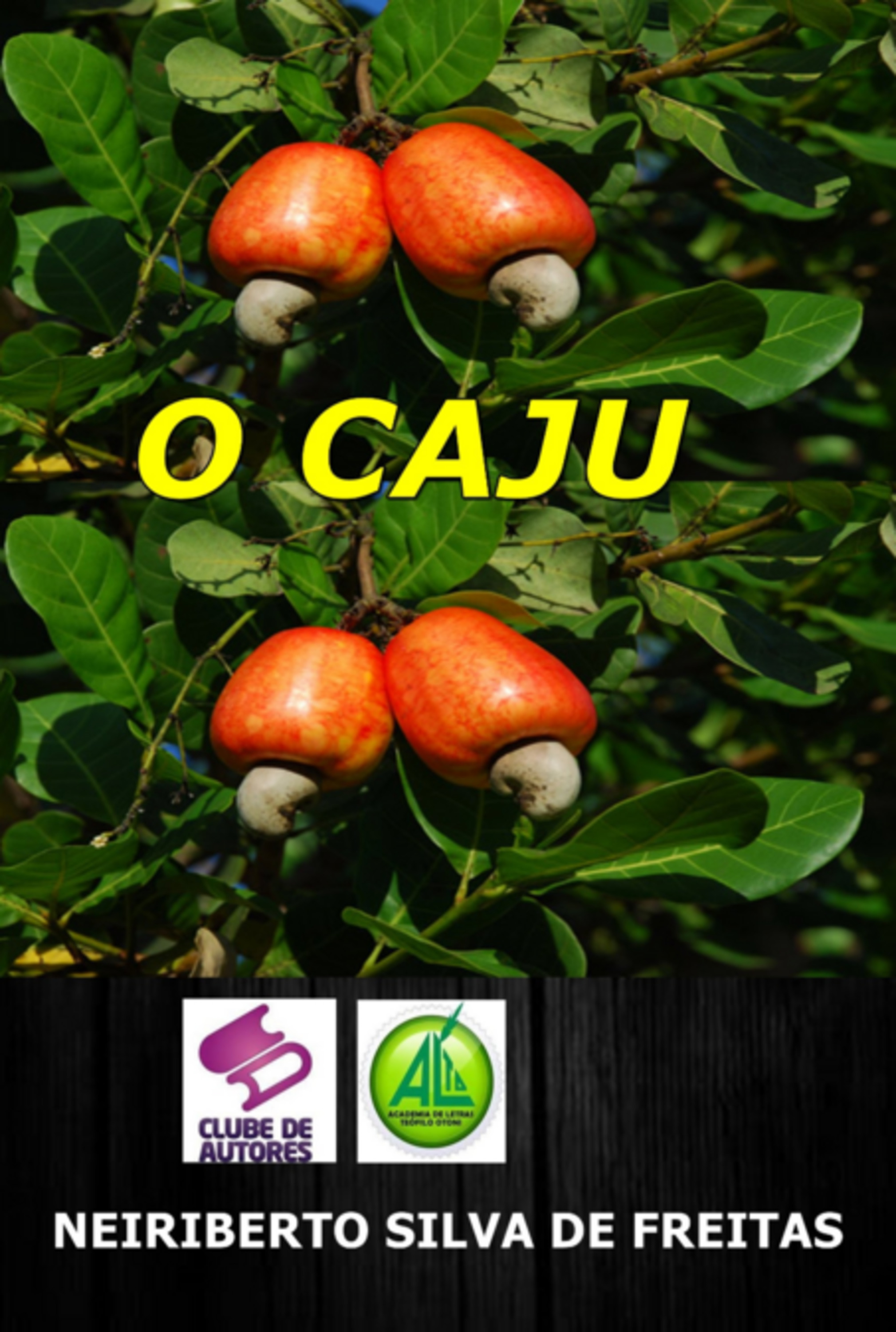 O Caju