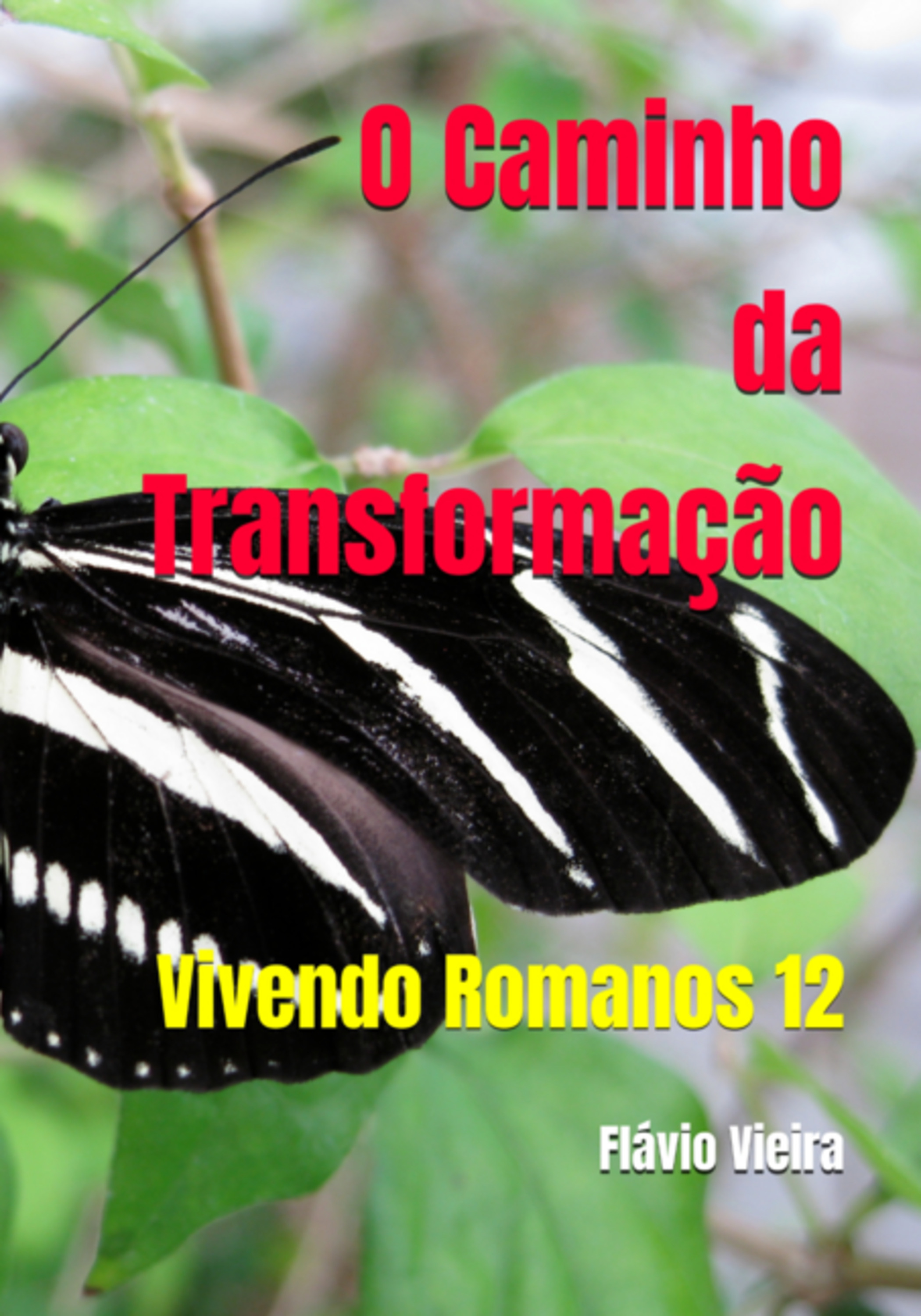 O Caminho Da Transformação