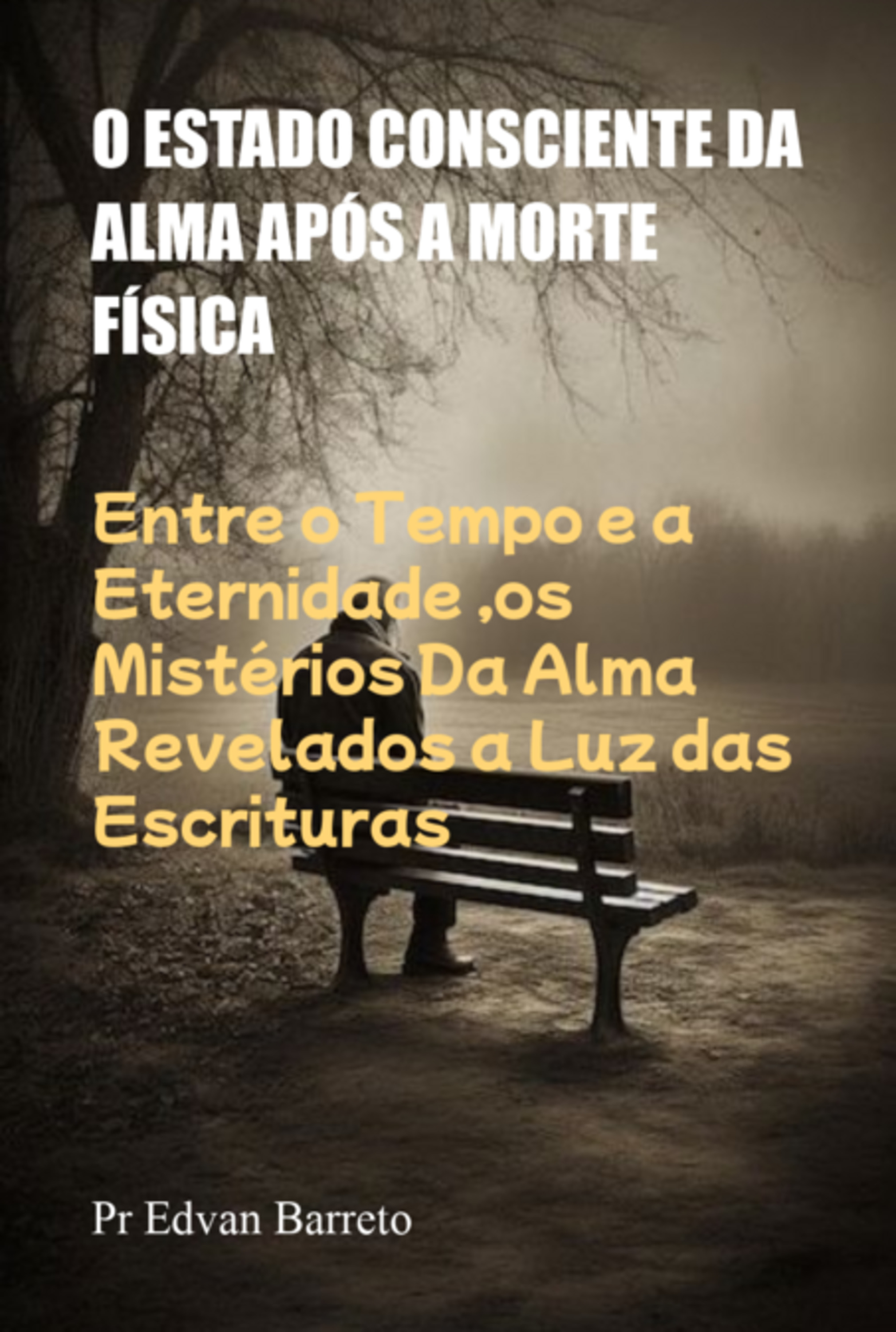 O Estado Consciente Da Alma Após A Morte Física