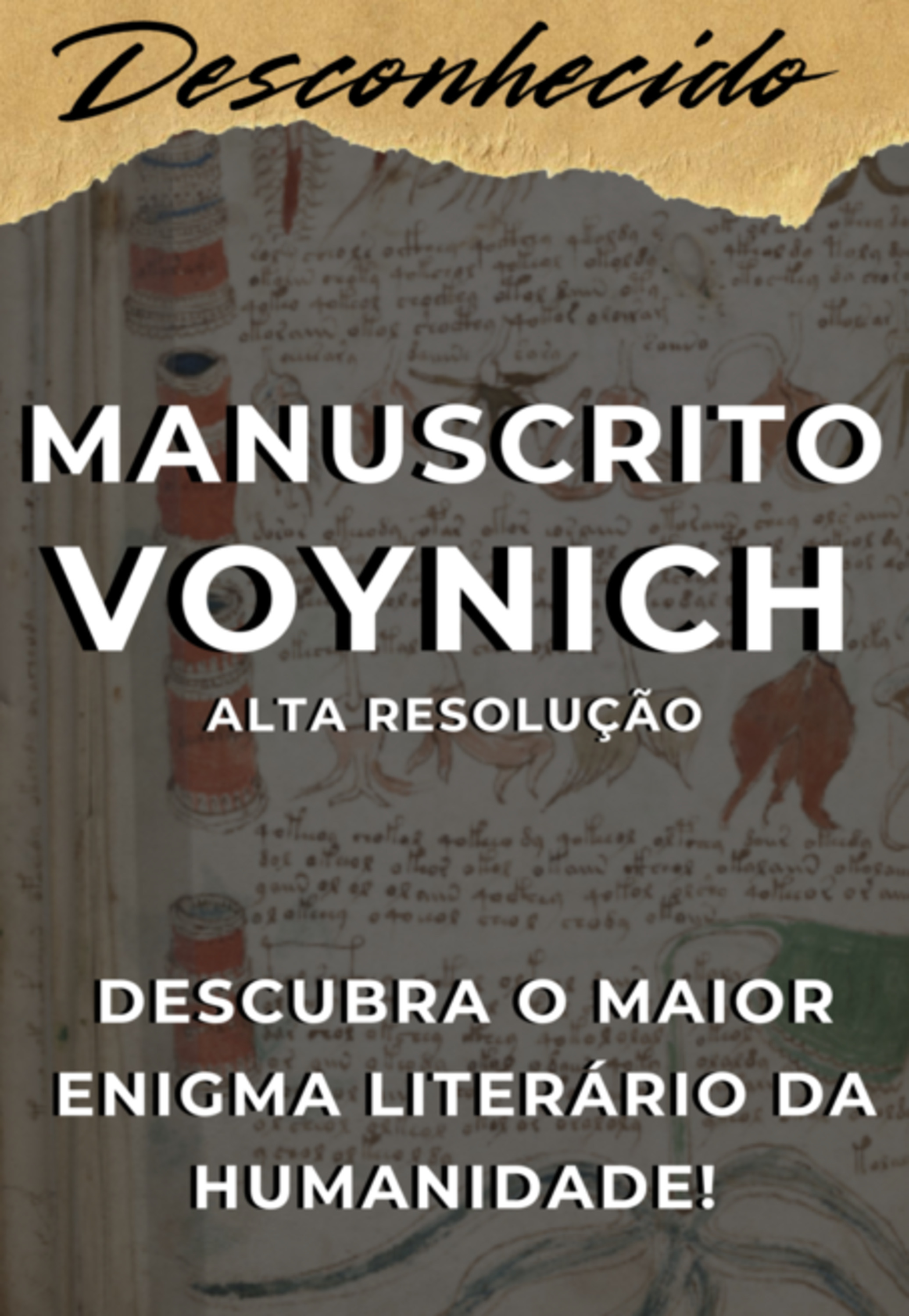 O Livro Mais Misterioso Da História: Manuscrito Voynich Completo Em Alta Resolução