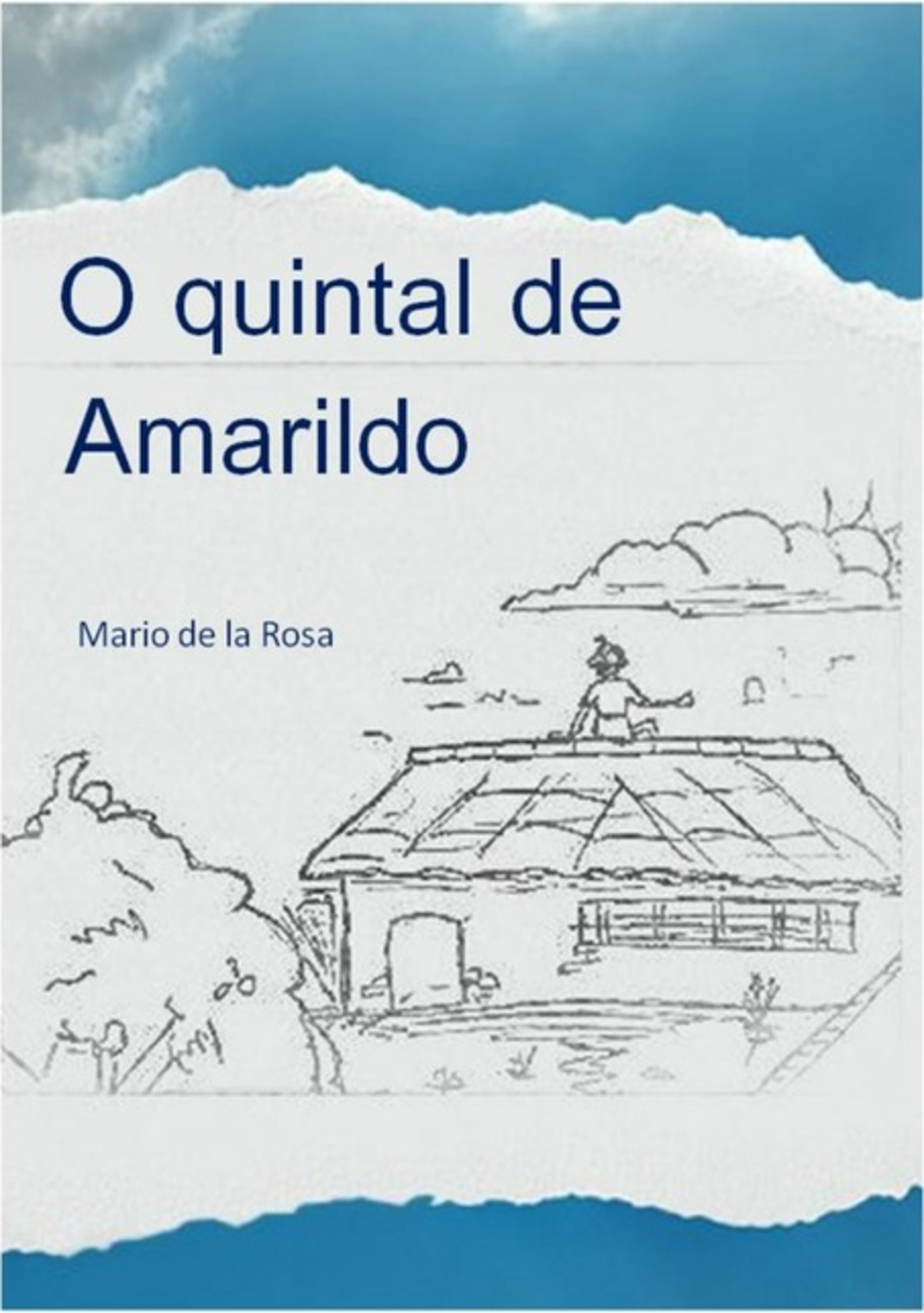 O Quintal De Amarildo