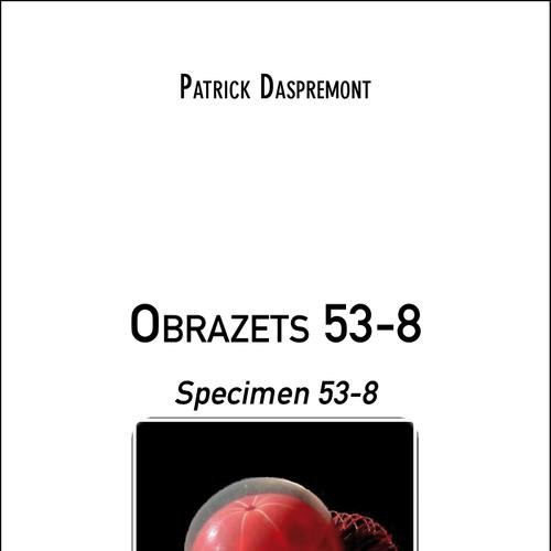 Obrazets 53-8