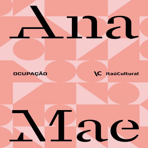 Ocupação Ana Mae Barbosa