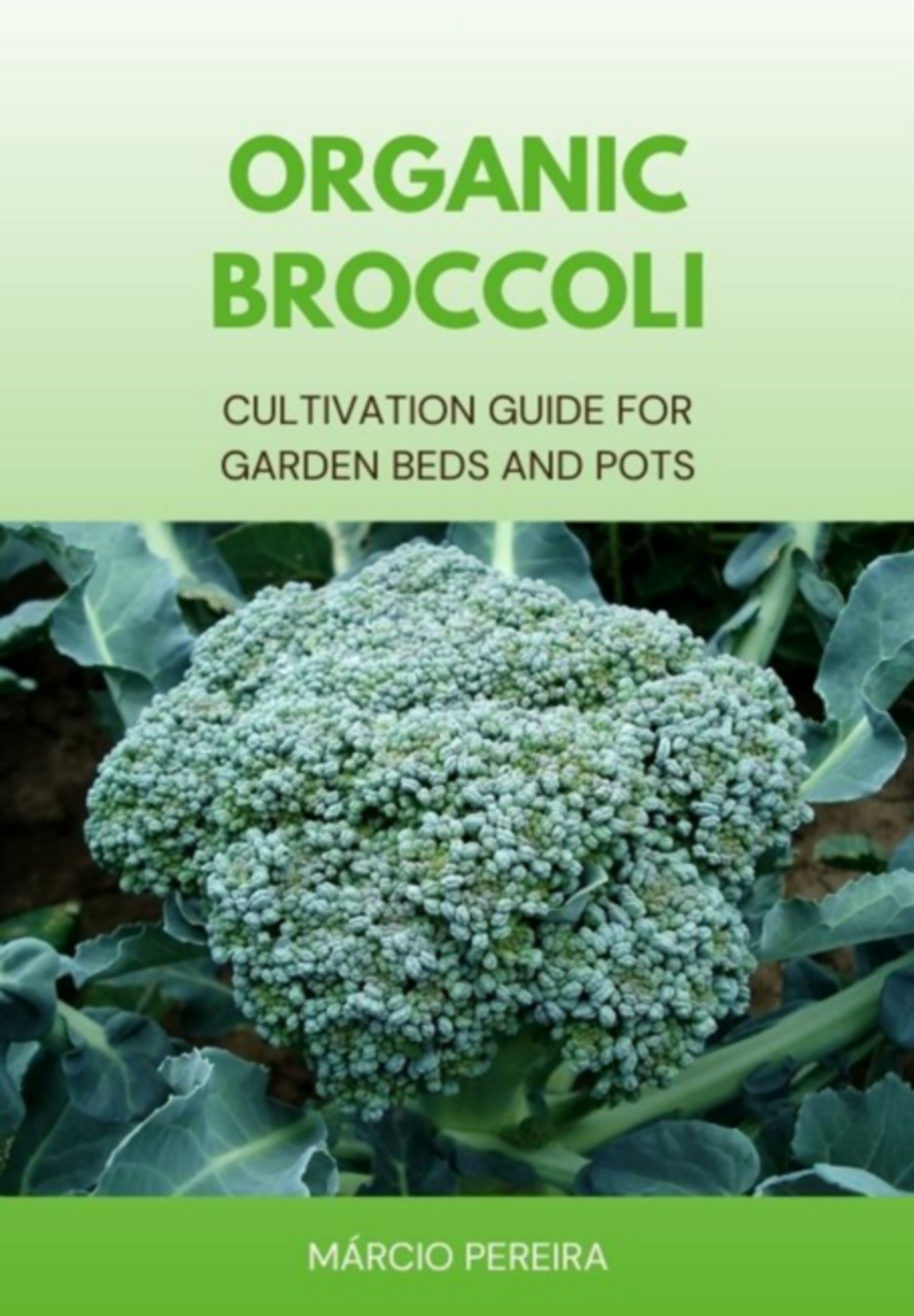 Organic Broccoli