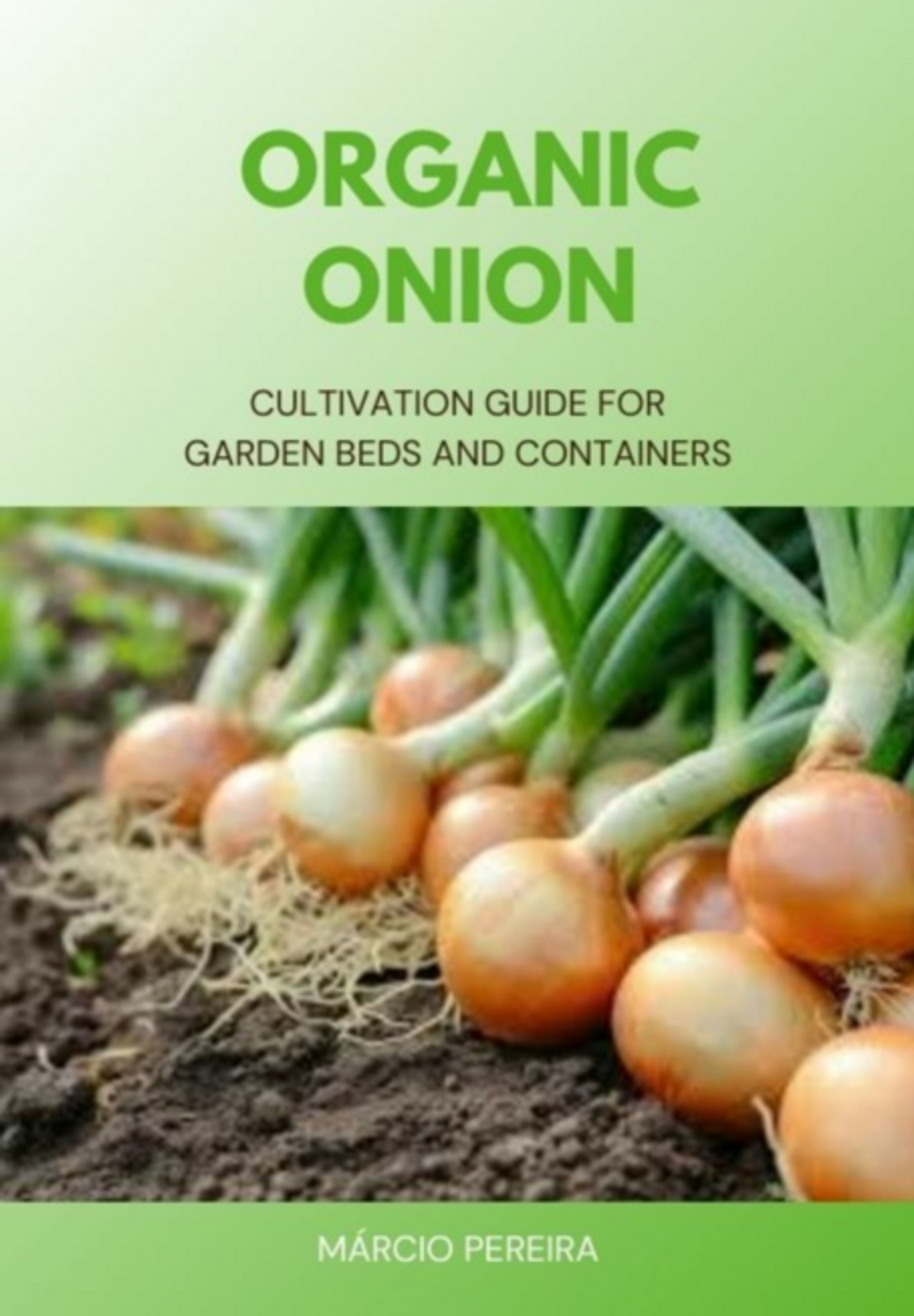 Organic Onion