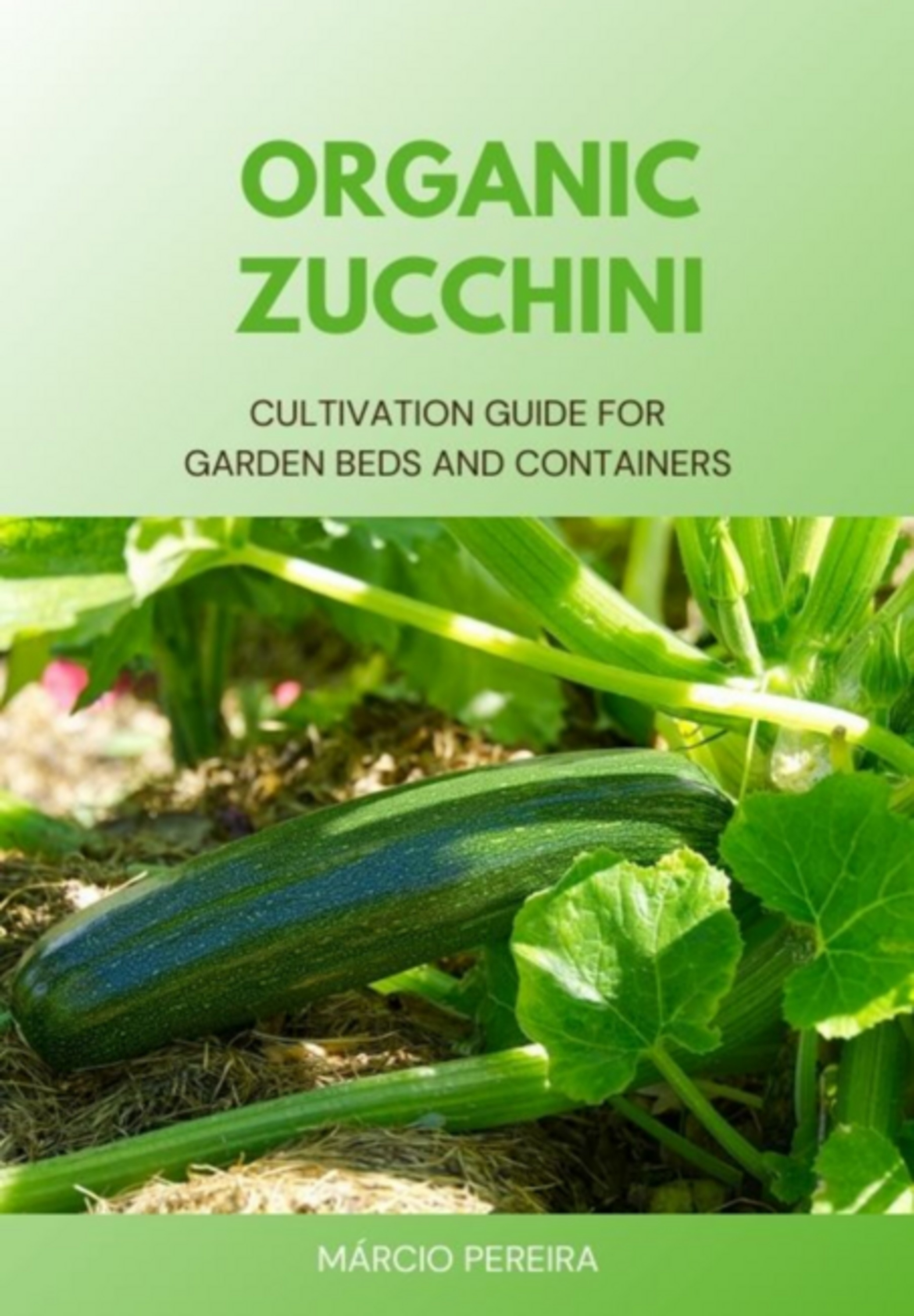 Organic Zucchini