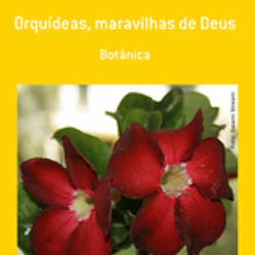 ORQUÍDEAS, MARAVILHAS DE DEUS