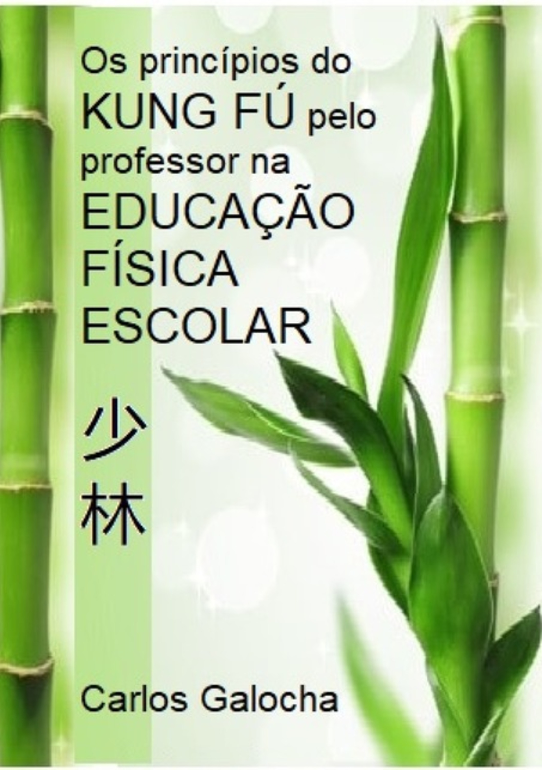 Os Princípios Do Kung Fú Pelo Professor Na Educação Física Escolar