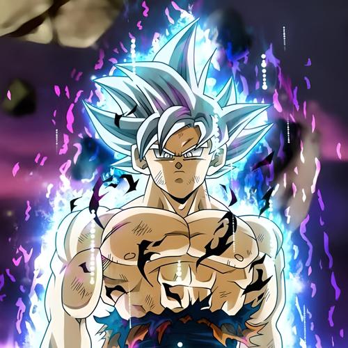 Os Segredos de Son Goku