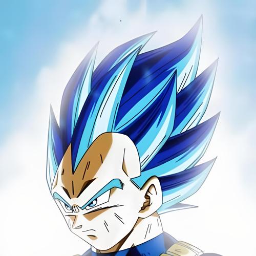 Os Segredos de Vegeta 