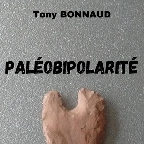 Paléobipolarité