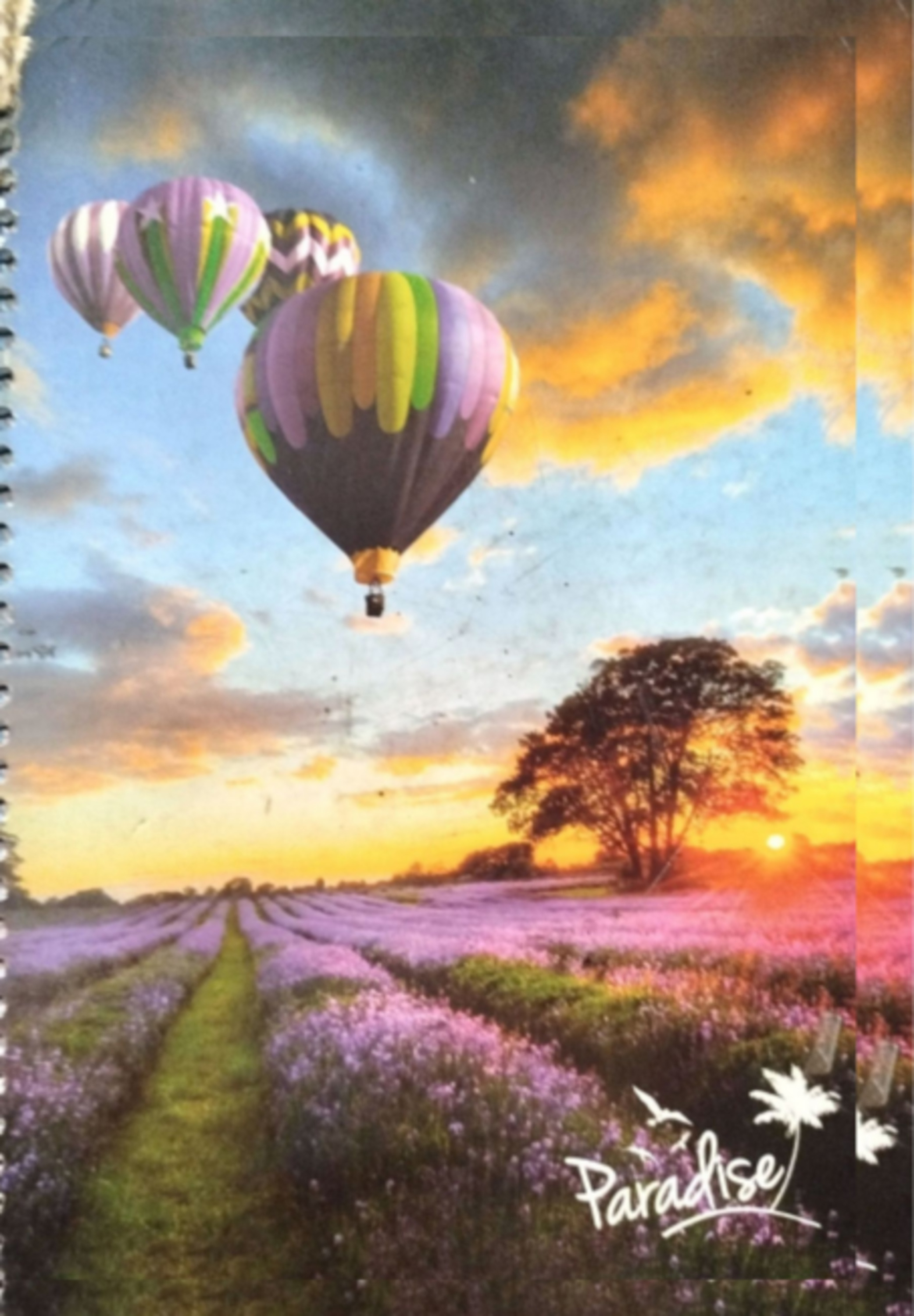 Parte Um: Paradise - Tudo Começou Com Humateoria Vol. I