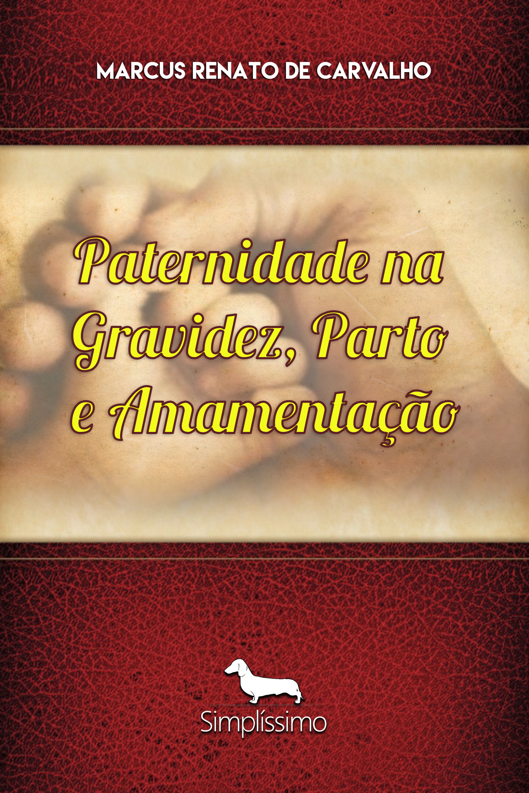 Paternidade na gravidez, parto e amamentação